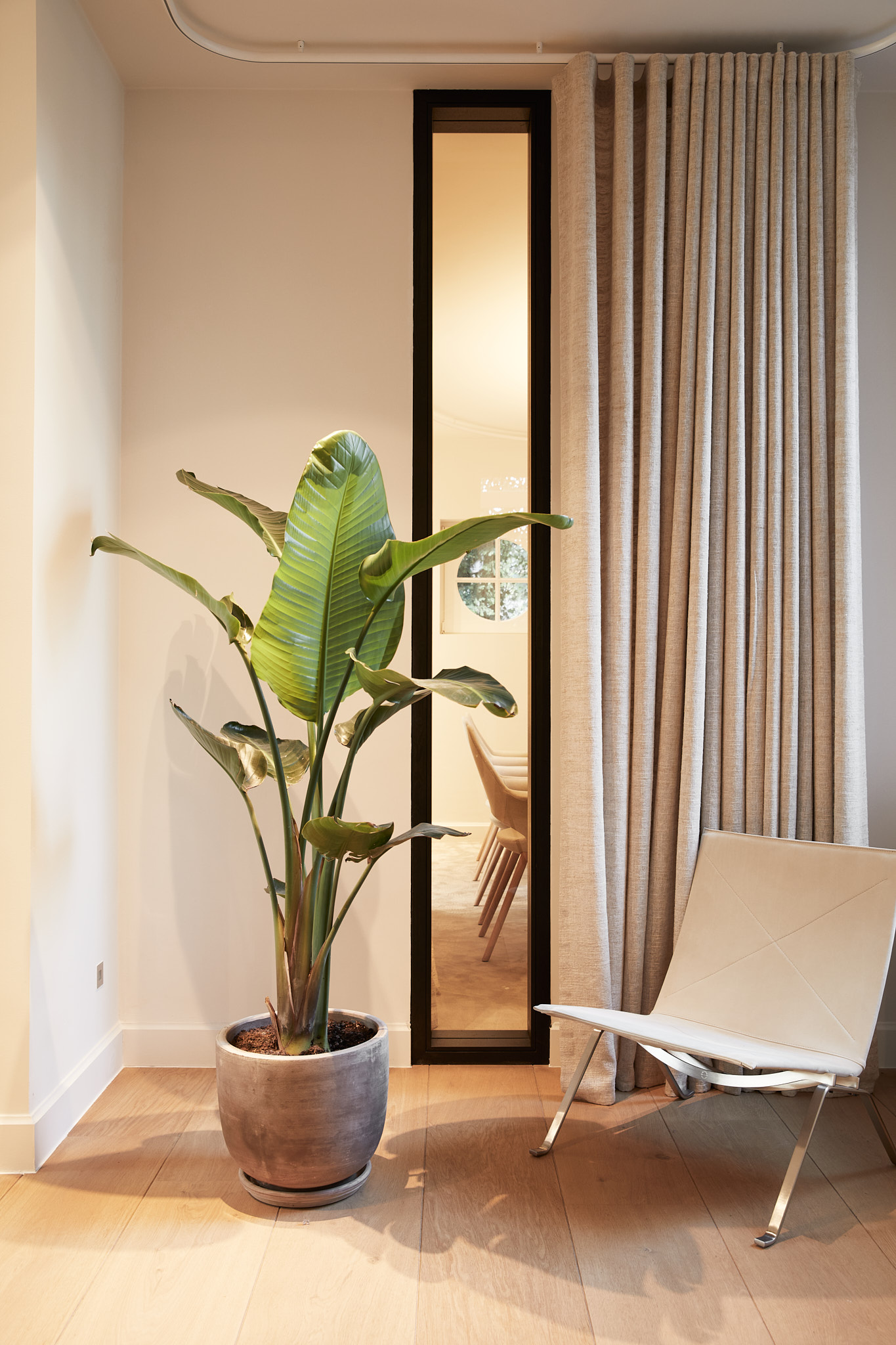 Office plant | Out Of Office Work